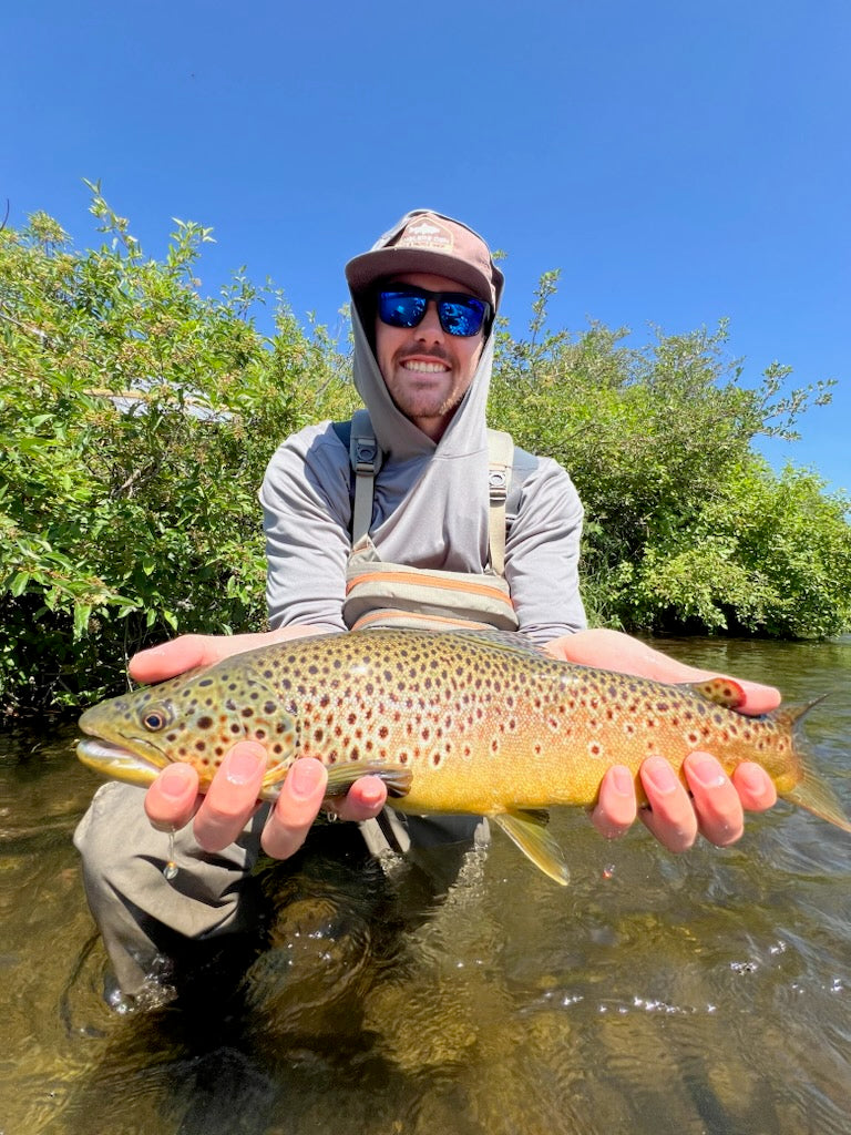 How to Catch Brown Trout