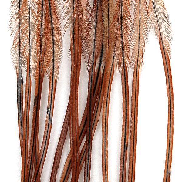 MFC Whiting 100 Pack Premium Dry Fly Hackle