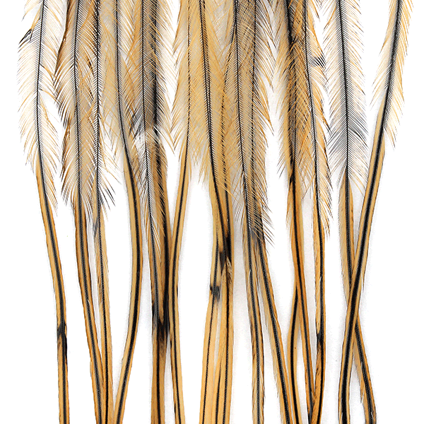 MFC Whiting 100 Pack Premium Dry Fly Hackle