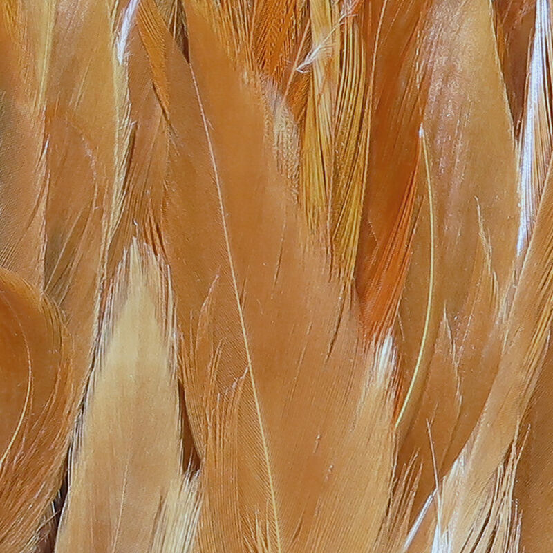 Hareline Woolly Bugger Saddle Hackle 6-7”